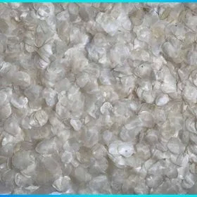 Dried fish scale
