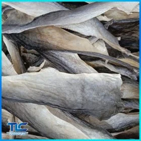 Pangasius skin
