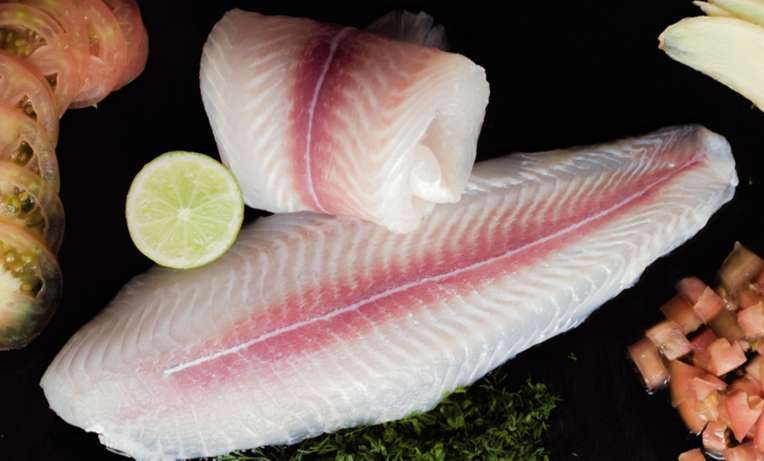10 Tips for Buying the Perfect Pangasius Fillet