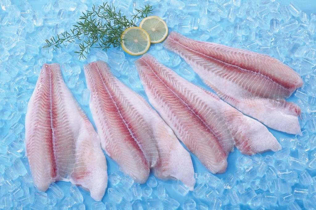 Pangasius Fillet Un-trimmed