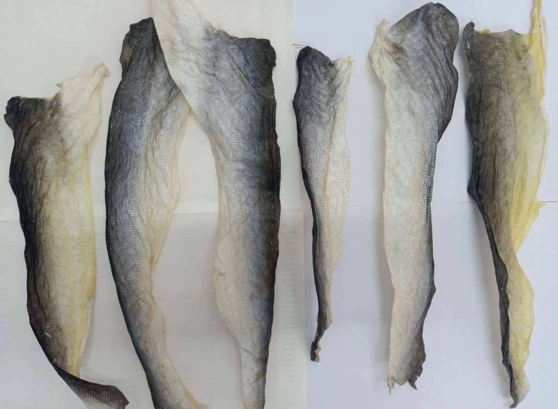 Dry fish scale skin, biomee™