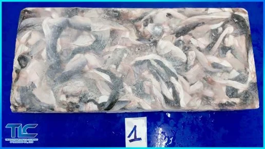 Frozen pangasius skin block 1