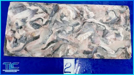 Frozen pangasius skin block 2