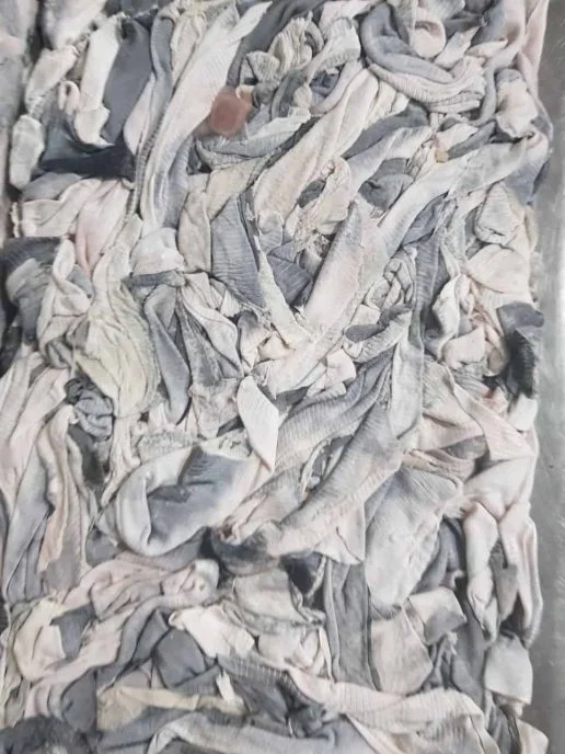 Pangasius fish skin