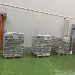 Frozen pangasius skin