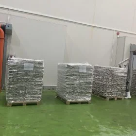 Frozen pangasius skin