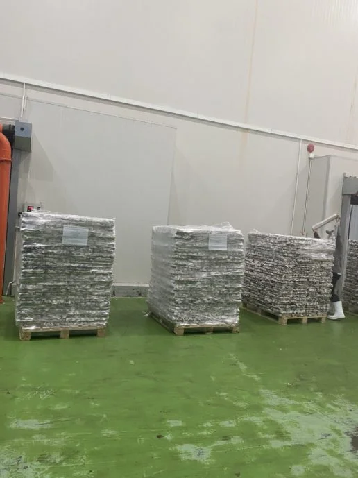 Frozen pangasius skin