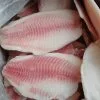 Red Tilapia Fillet