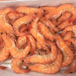 vannamei shrimp HOSO
