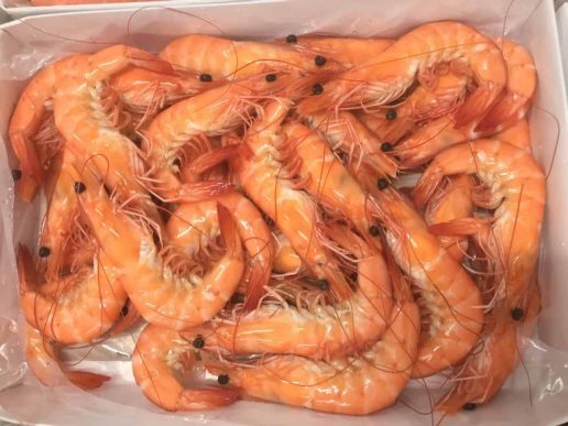 vannamei shrimp HOSO