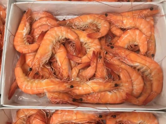 Frozen Vannamei Shrimp HOSO
