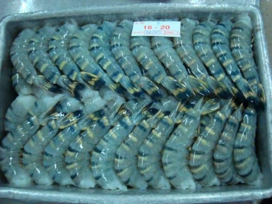 Headless Shell On Black Tiger Shrimp
