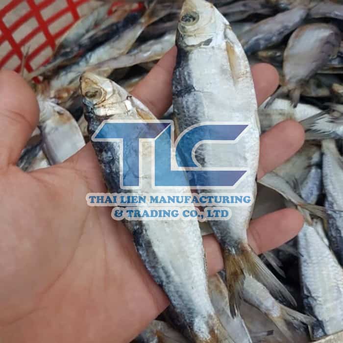 Dried herring fish