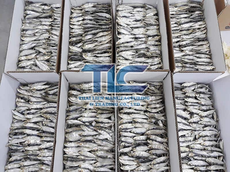 Dried herring fish