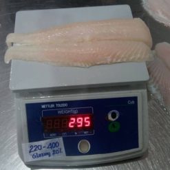 pangasius well-trimmed fillet