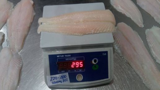 pangasius well-trimmed fillet