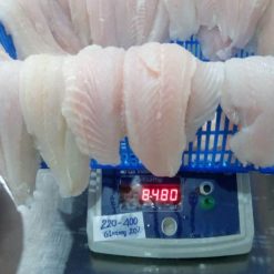 pangasius fillet well trimmed