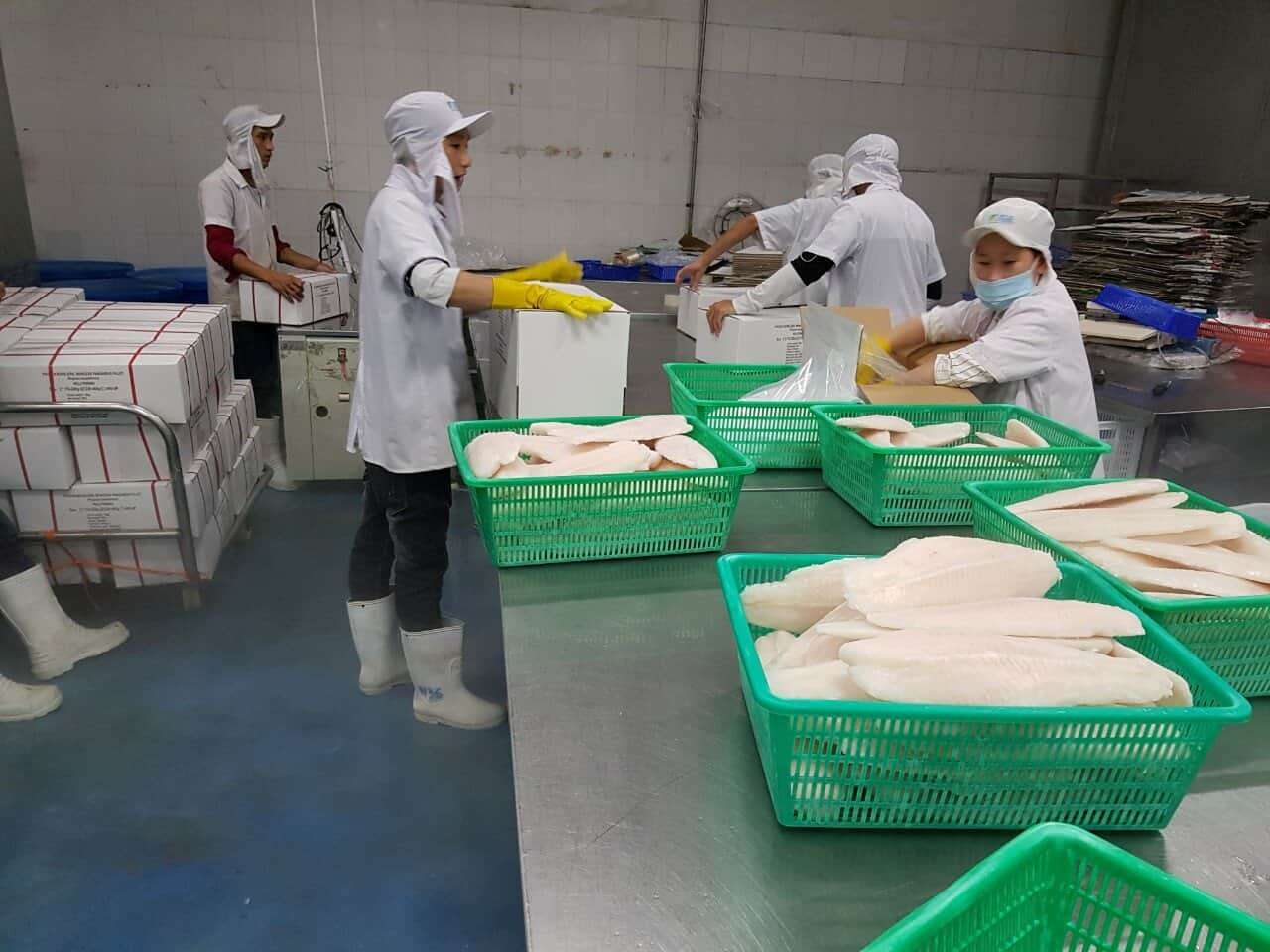 The price of frozen pangasius imported from Vietnam to the US increased by 56%