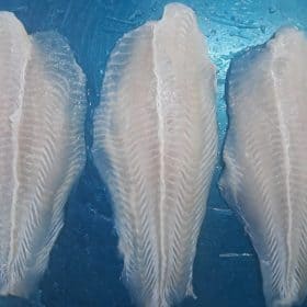 pangasius fillet trimmed well
