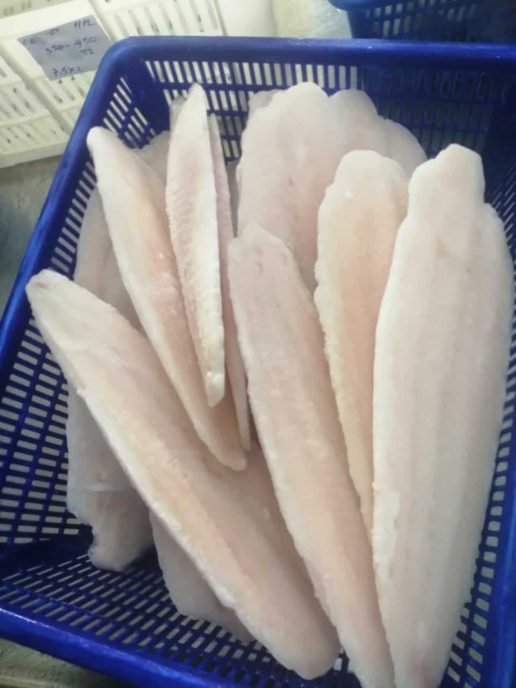 frozen pangasius fillet well-trimmed vietnam