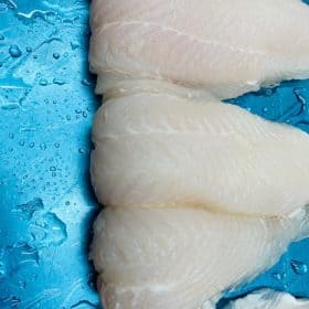 frozen pangasius fill well-trimmed