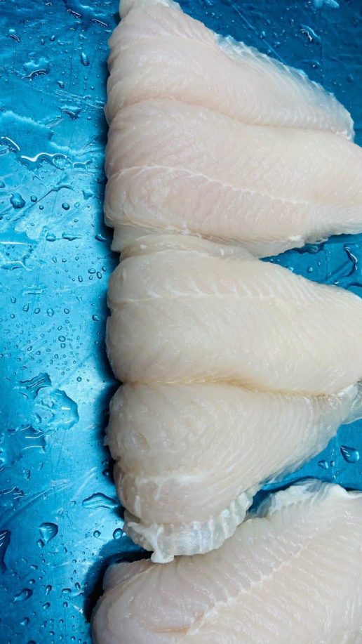 frozen pangasius fill well-trimmed