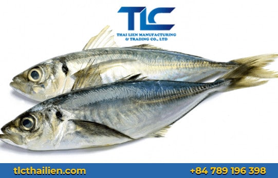 banner TLC Thai Lien - Horse Mackerel