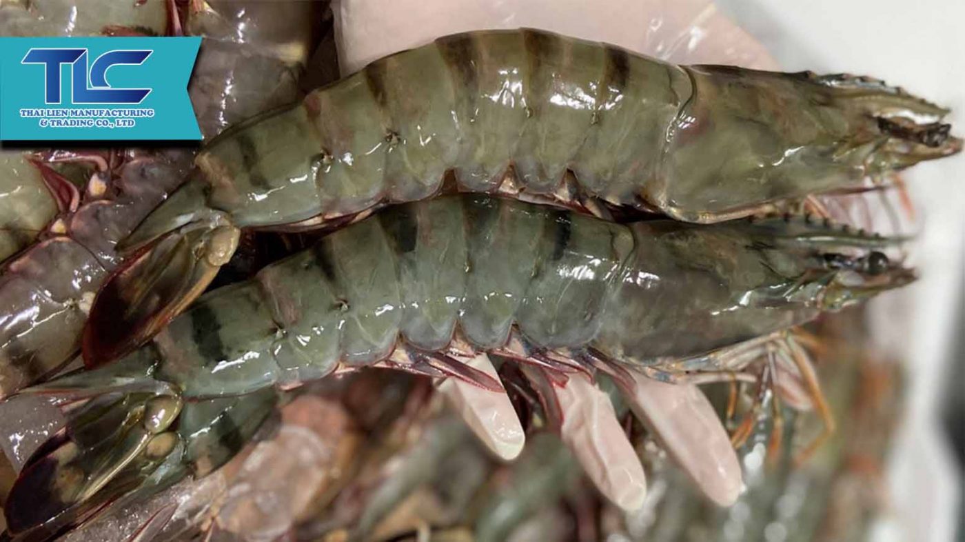 black tiger shrimp Vietnam origin