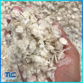 Dried fish scale