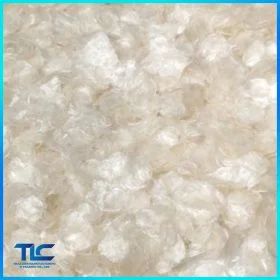 Dried Decalcifield Fish Scales